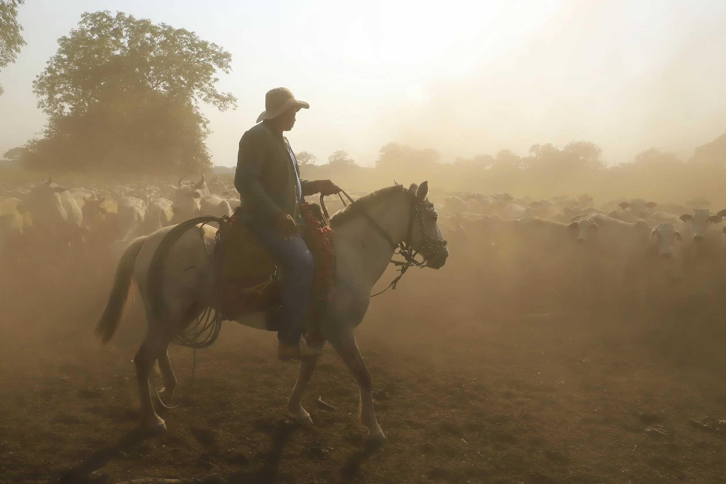 vaqueiro_03.jpg