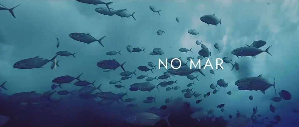 WhatsApp Image 2024-01-04 at 23.09.55.jpeg