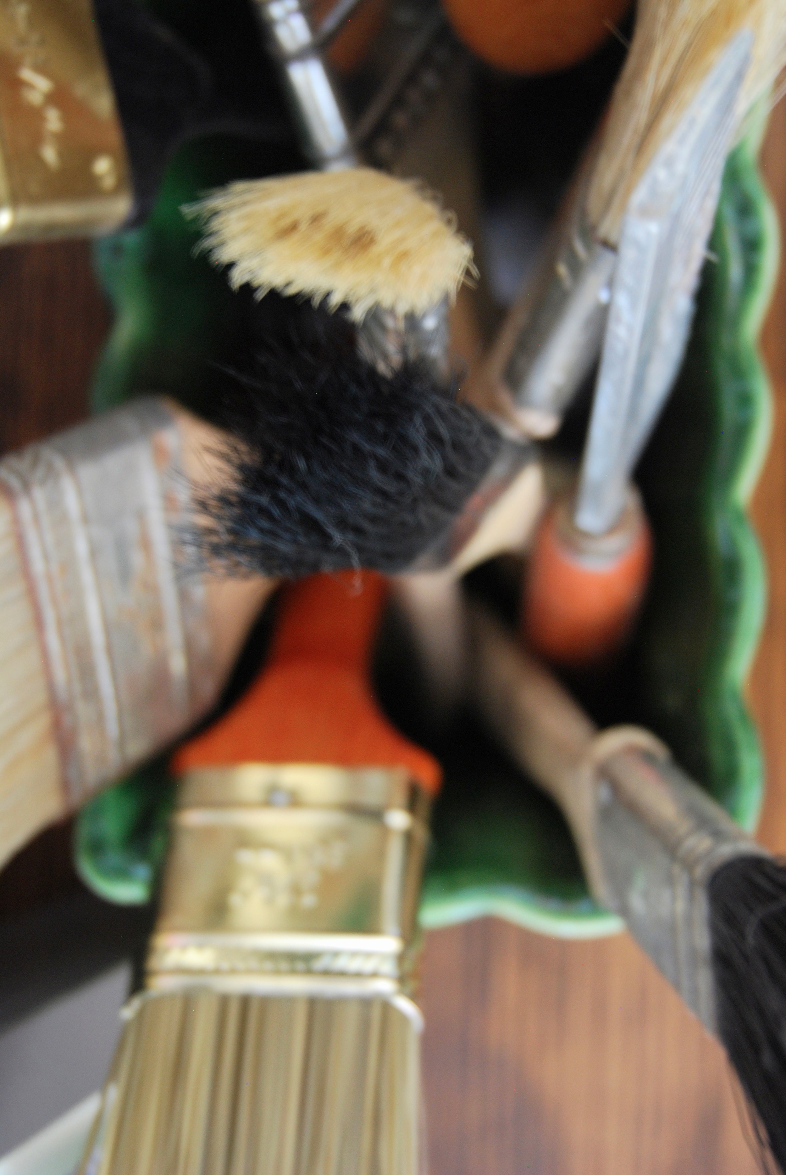 DSC_0169.jpg