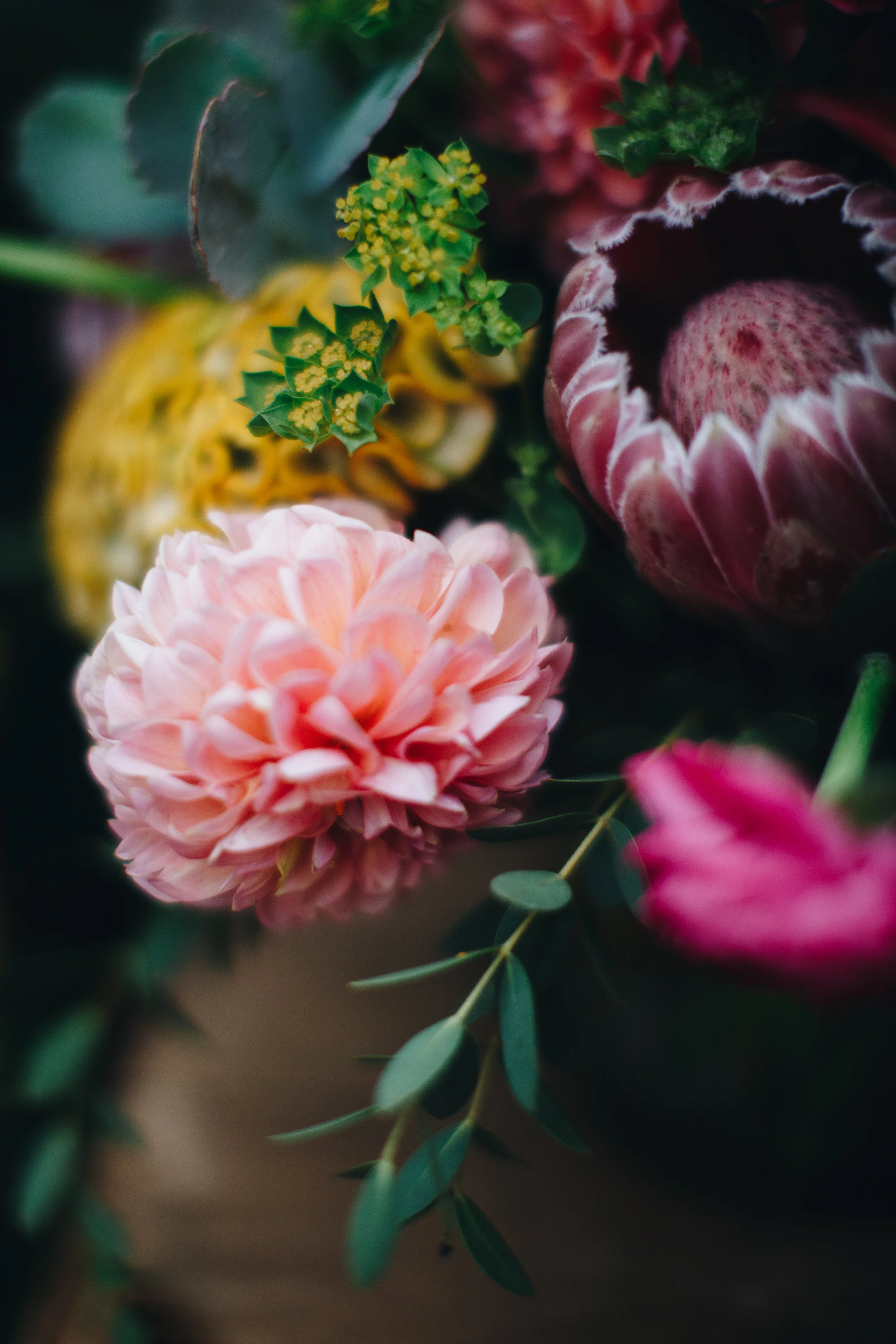 Plantshed-Plantshed Bouquets-0020.jpg