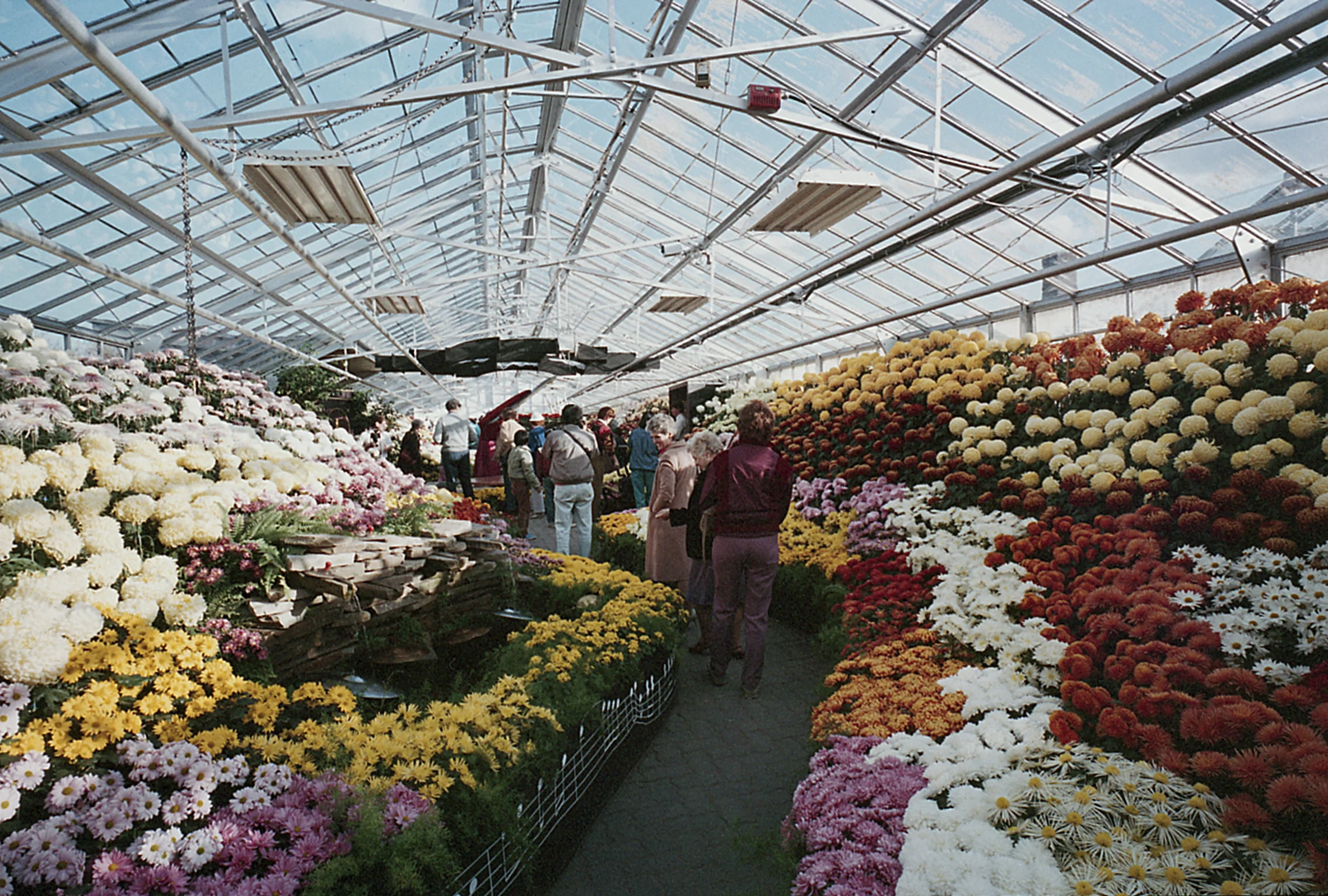 Resize of img122a.jpg