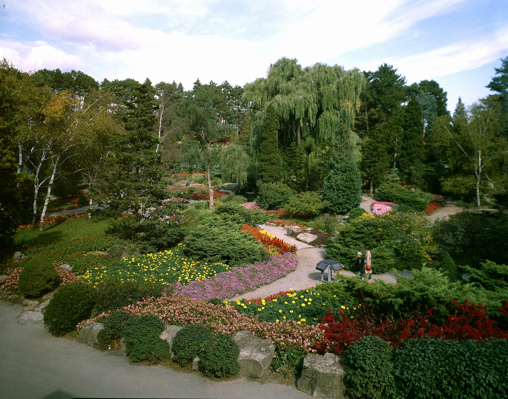 Resize of img126a.jpg