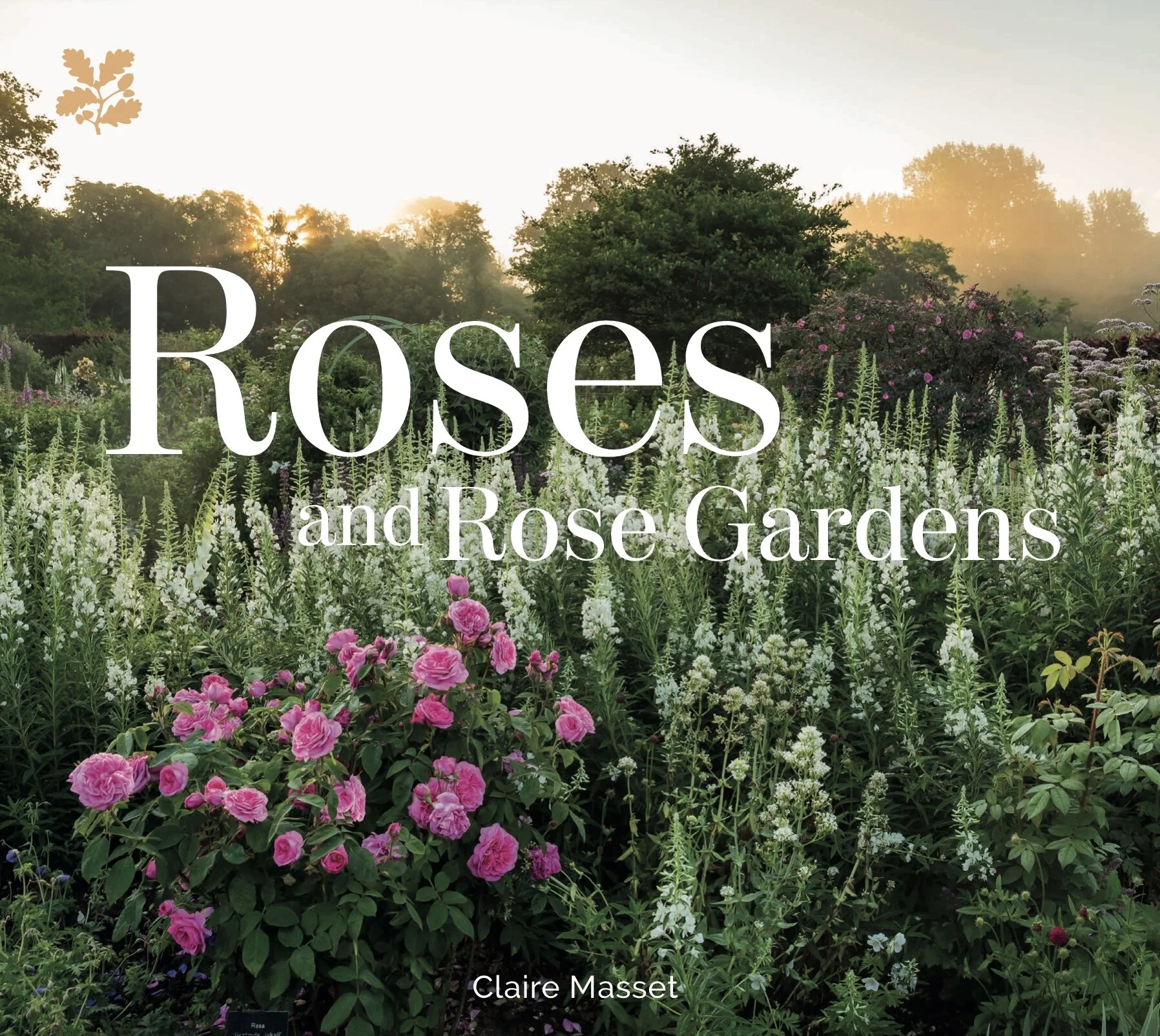 roses book cover.jpeg