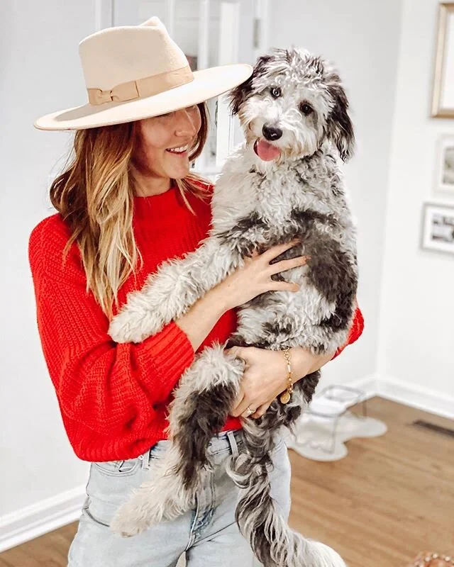 One of us needs a hair brush and one of us is 6 months old this week 😉🤔 swipe to see sweet Navy girl the day we brought her home 😭 #aussiedoodle #aussiesofinstagram #miniaussiedoodle