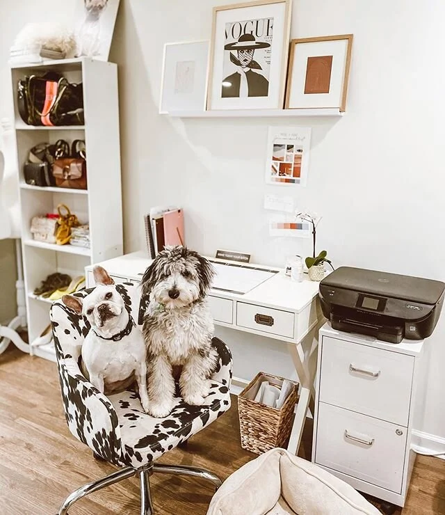 Holding down the fort 🐶 I have some #workfromhome experience and the number 1 thing I learned is always listen to a good podcast! Here are my ten favorites:

1. @chattybroads 
2. @whatwesaidpodcast 
3. @commentsbycelebs
4. @twojudgeygirls 
5. @crimejunkiepodcast 
6. Realities of Real Estate
7. Armchair Expert
8. How I Built This
9. Pop Culture Happy Hour
10. The Viall Files
.
.
Everything in this pic (except the 🐶s) is linked on my @liketoknow.it ✨ http://liketk.it/2LLnx