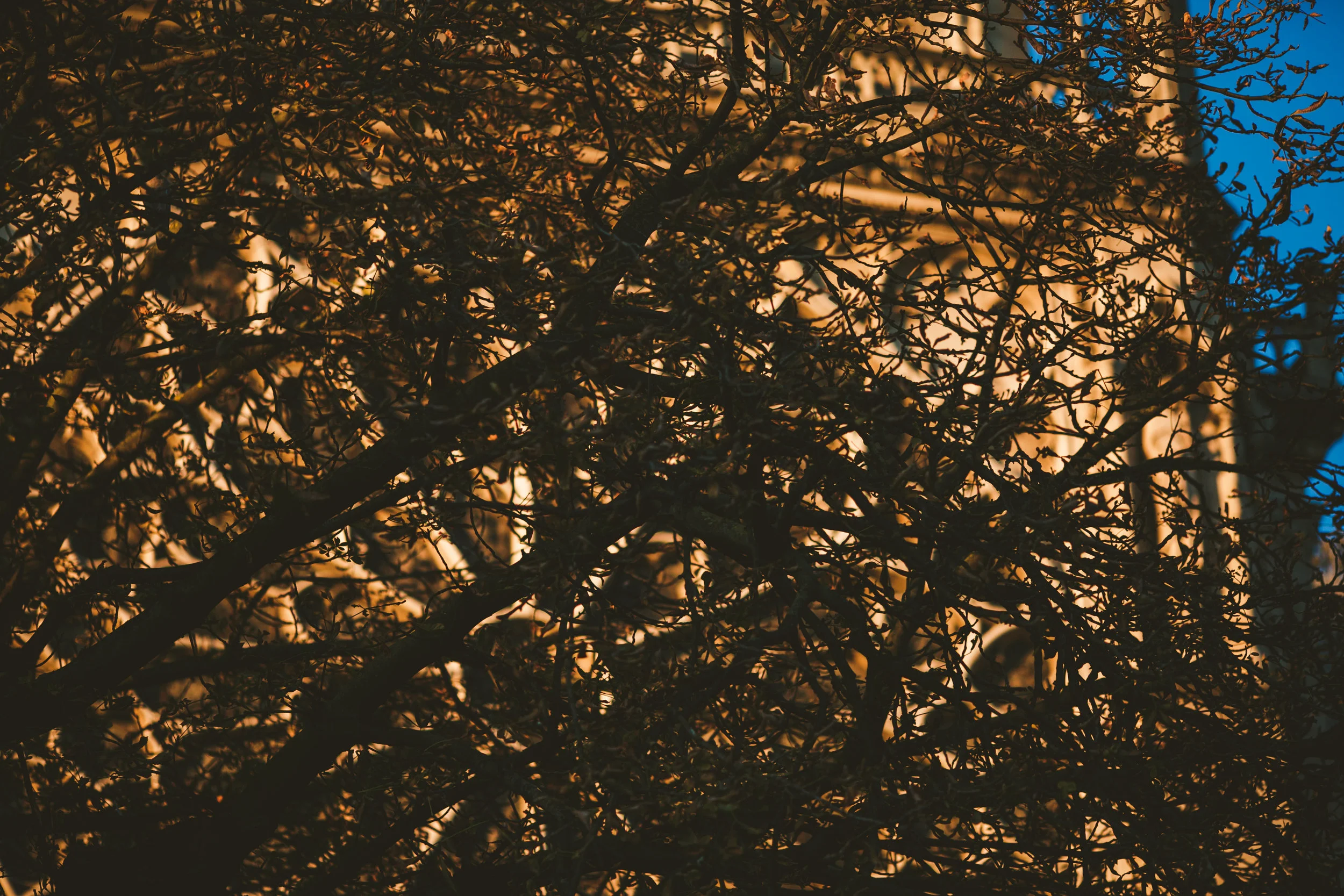 _H0A5966.jpg