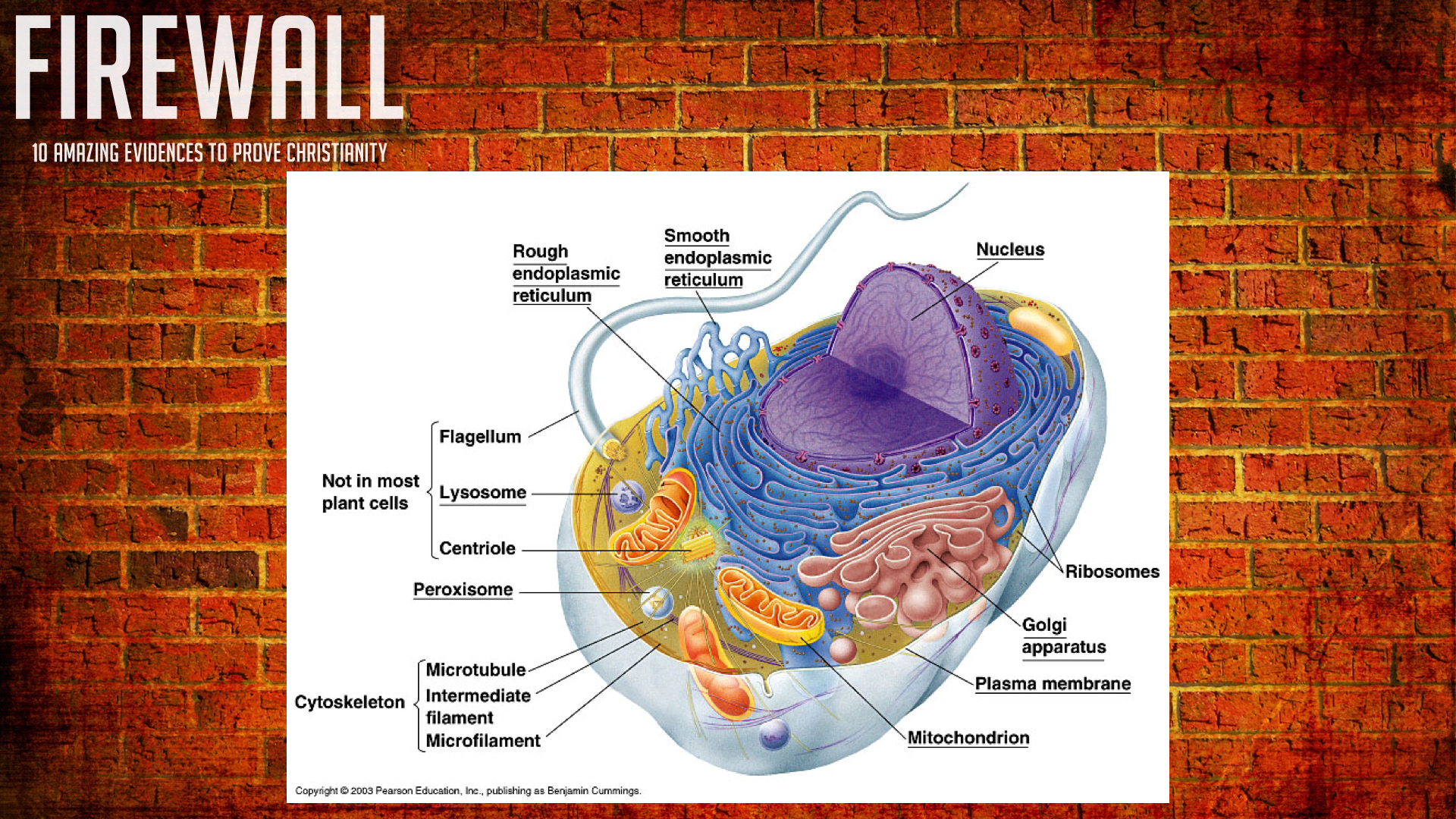 FIREWALL - GOD Proof 2.015.jpeg