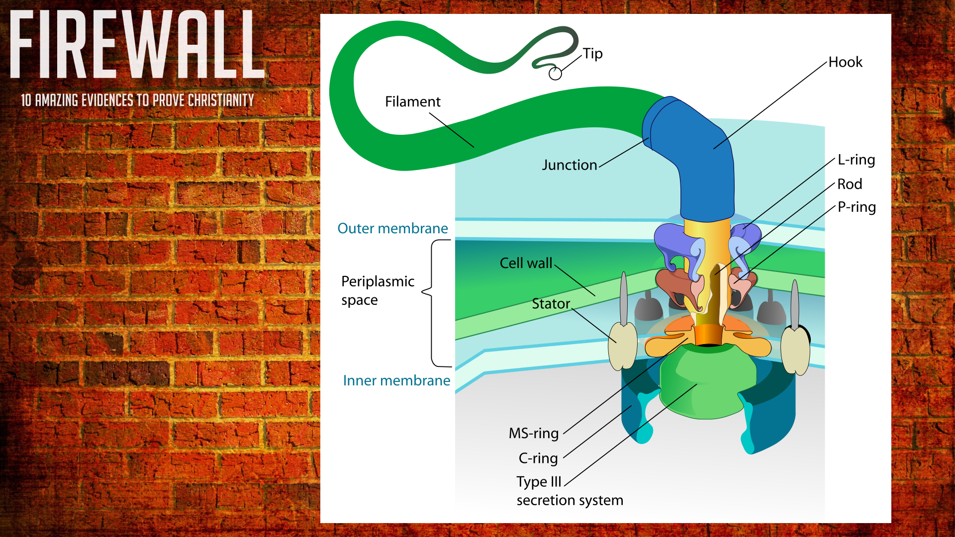 FIREWALL - GOD Proof 2.019.jpeg