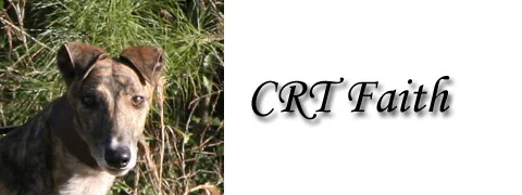 229-banner.jpg