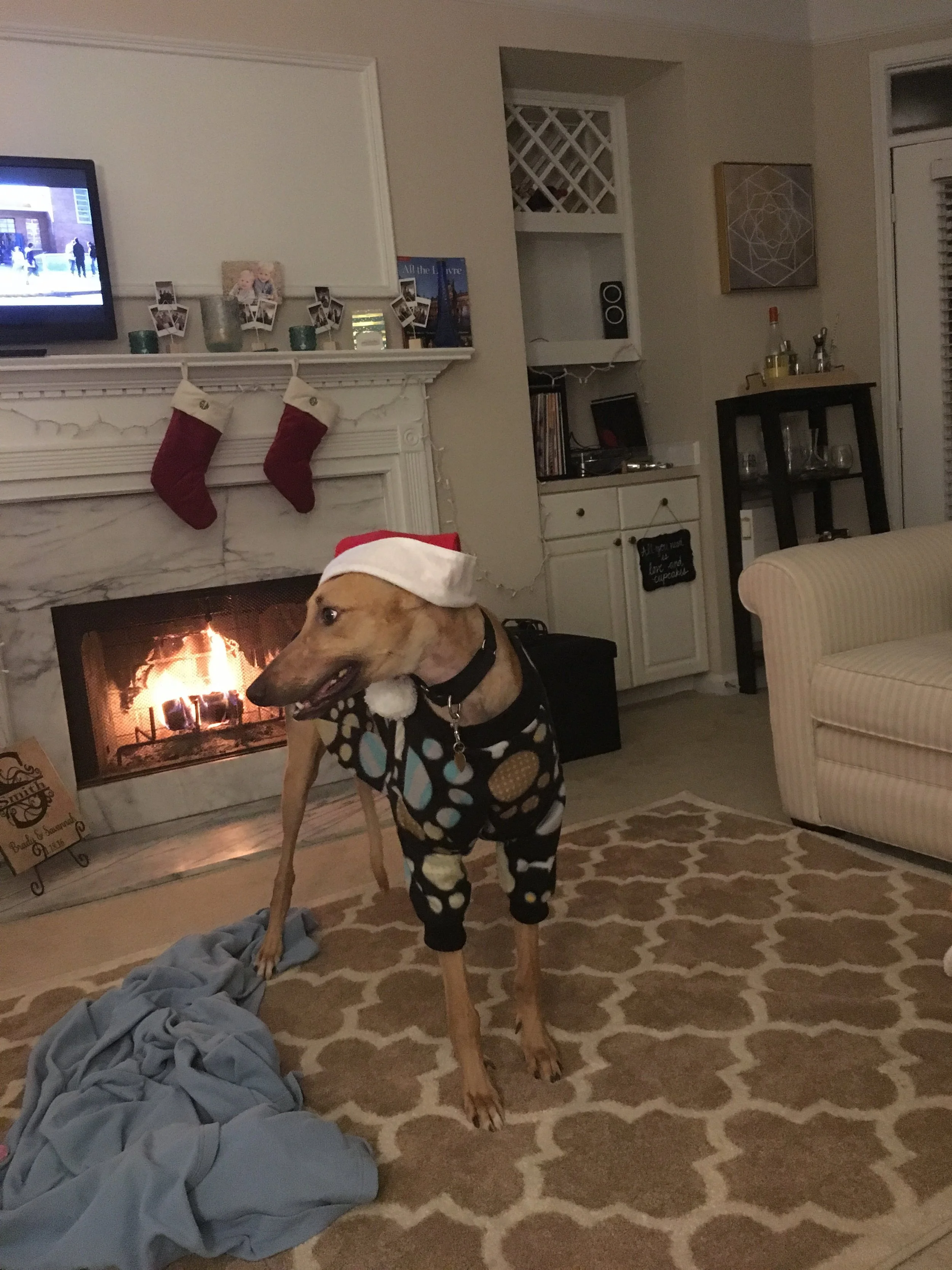 Jammies and Santa hat 