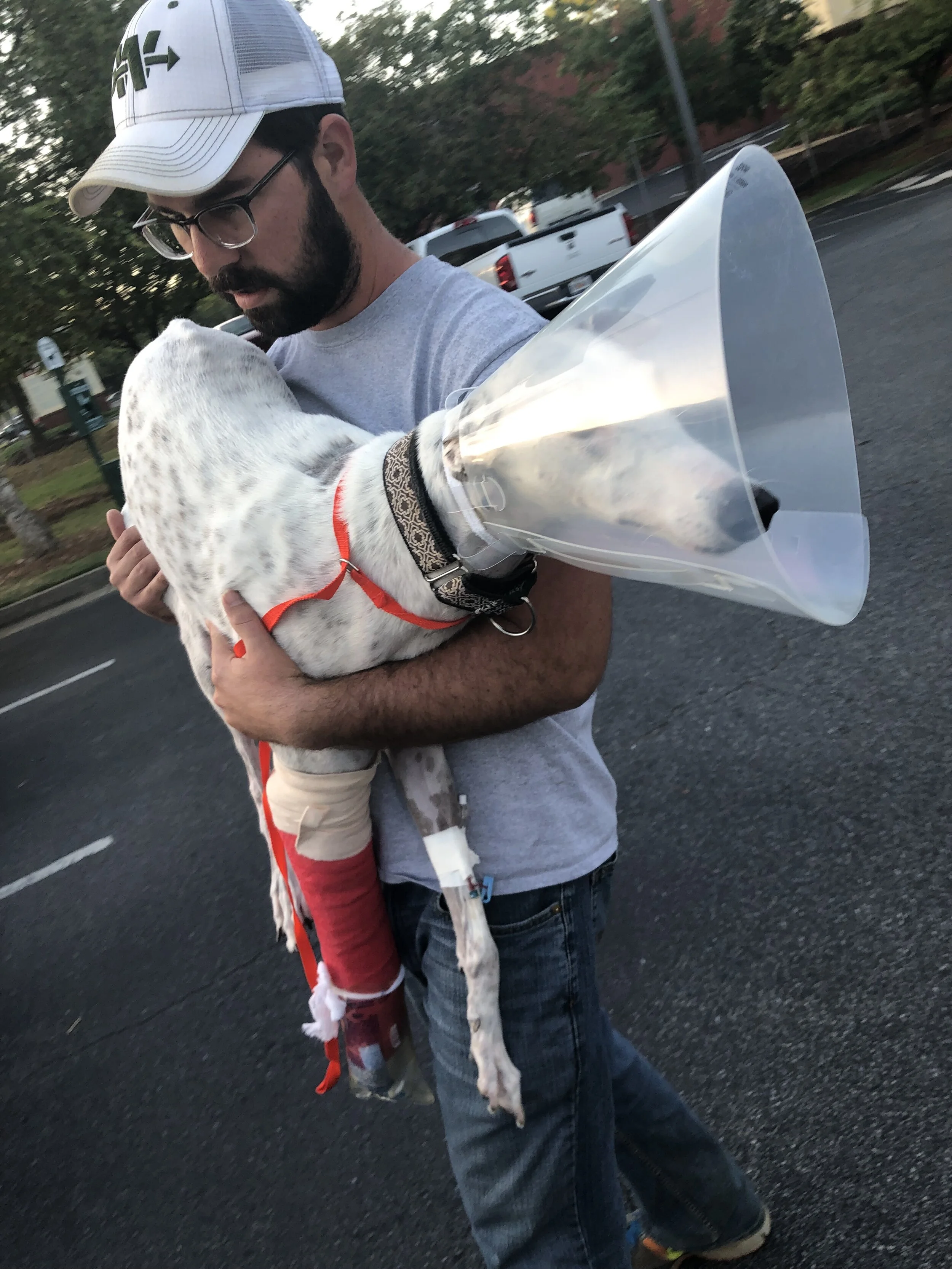 Roxie leaving the emergency clinic