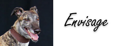 764-banner.jpg