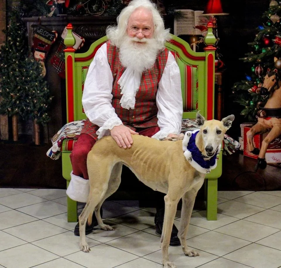 Fancy and Santa