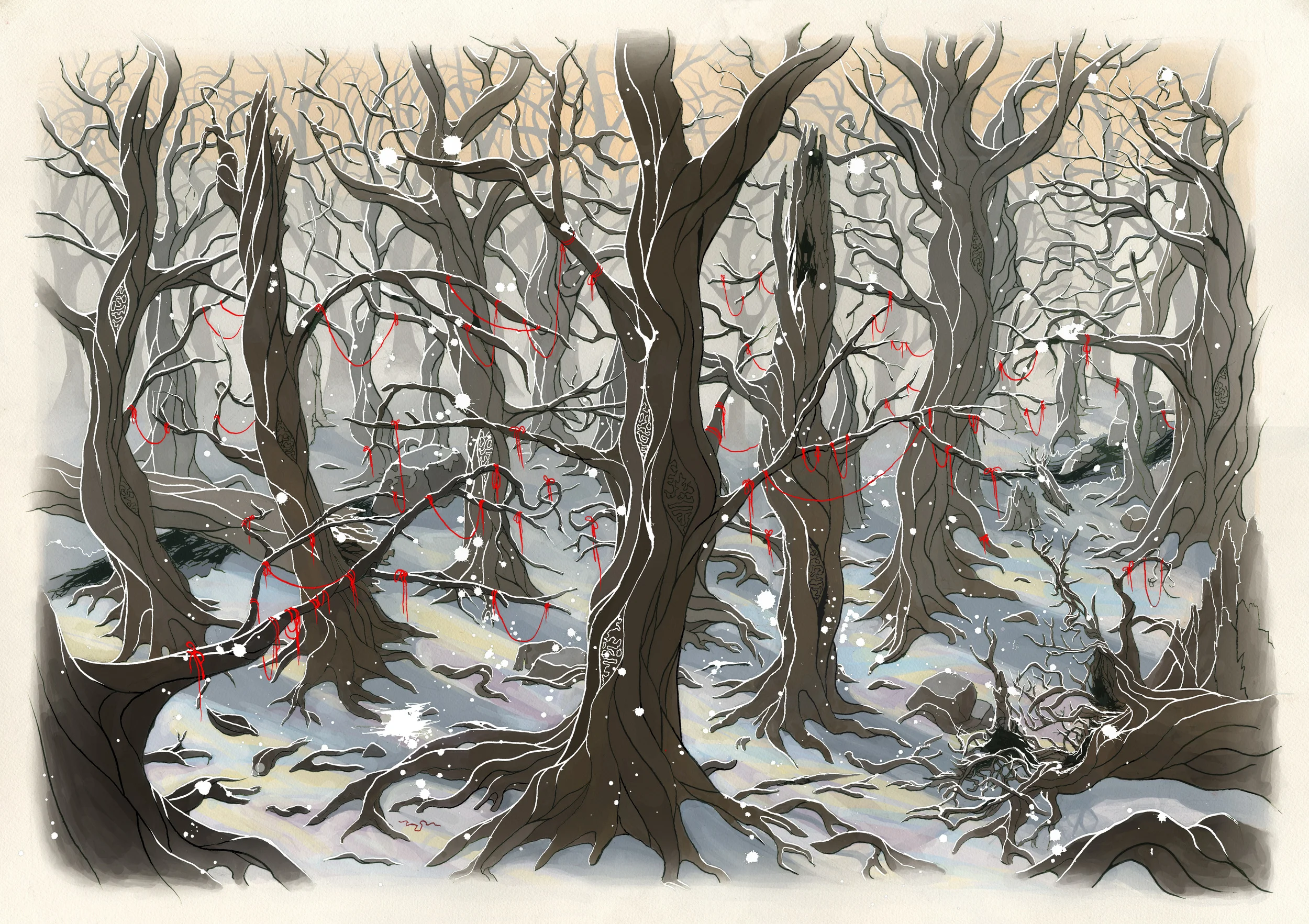 a forest