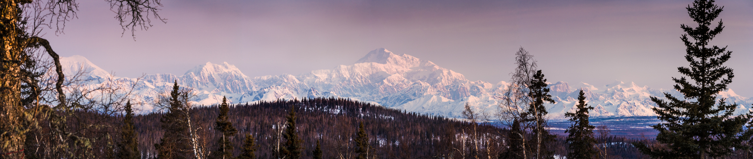 Denali+from+Karl+%26+Mary%27s+cabi-2757028508-O.jpg