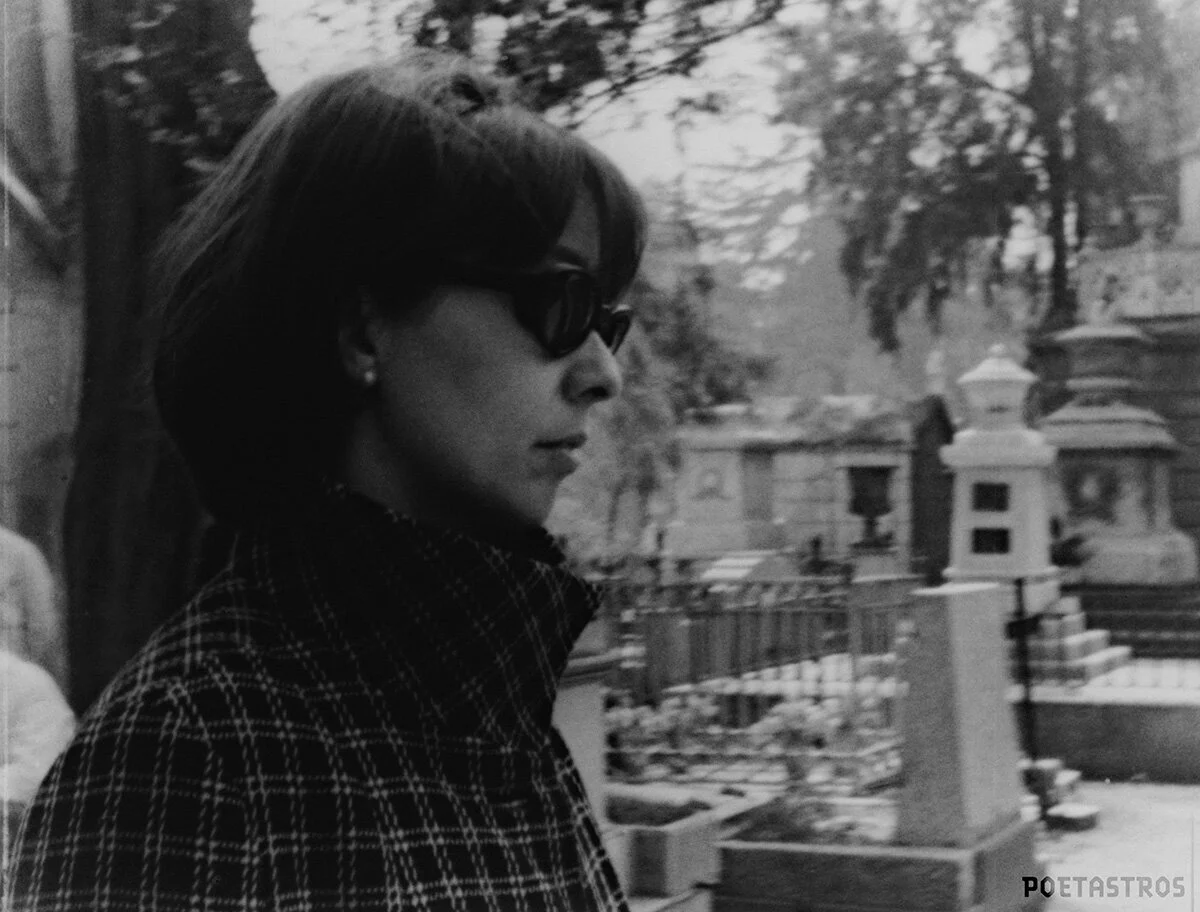 poet_02.jpg
