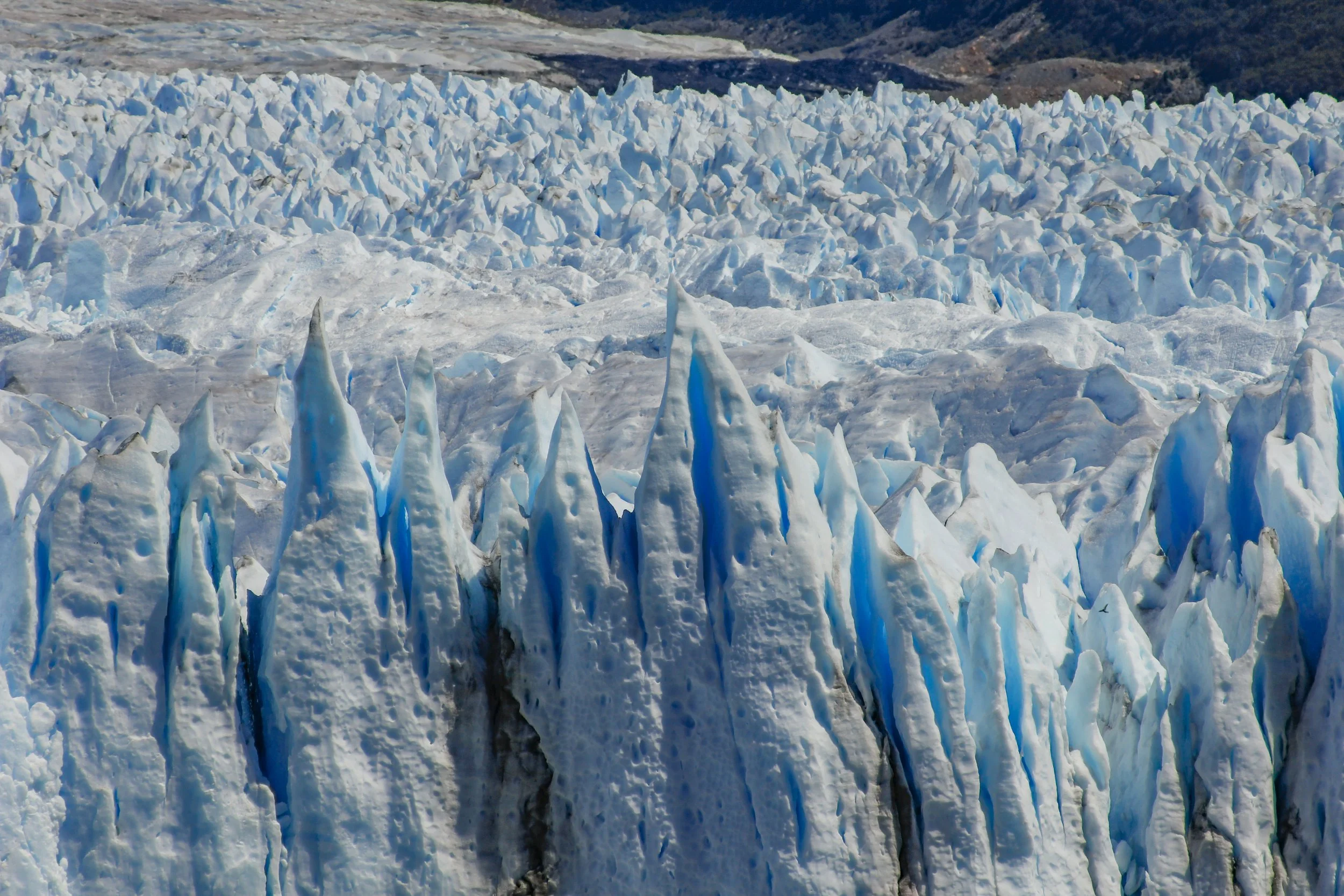 _MG_3083.jpg