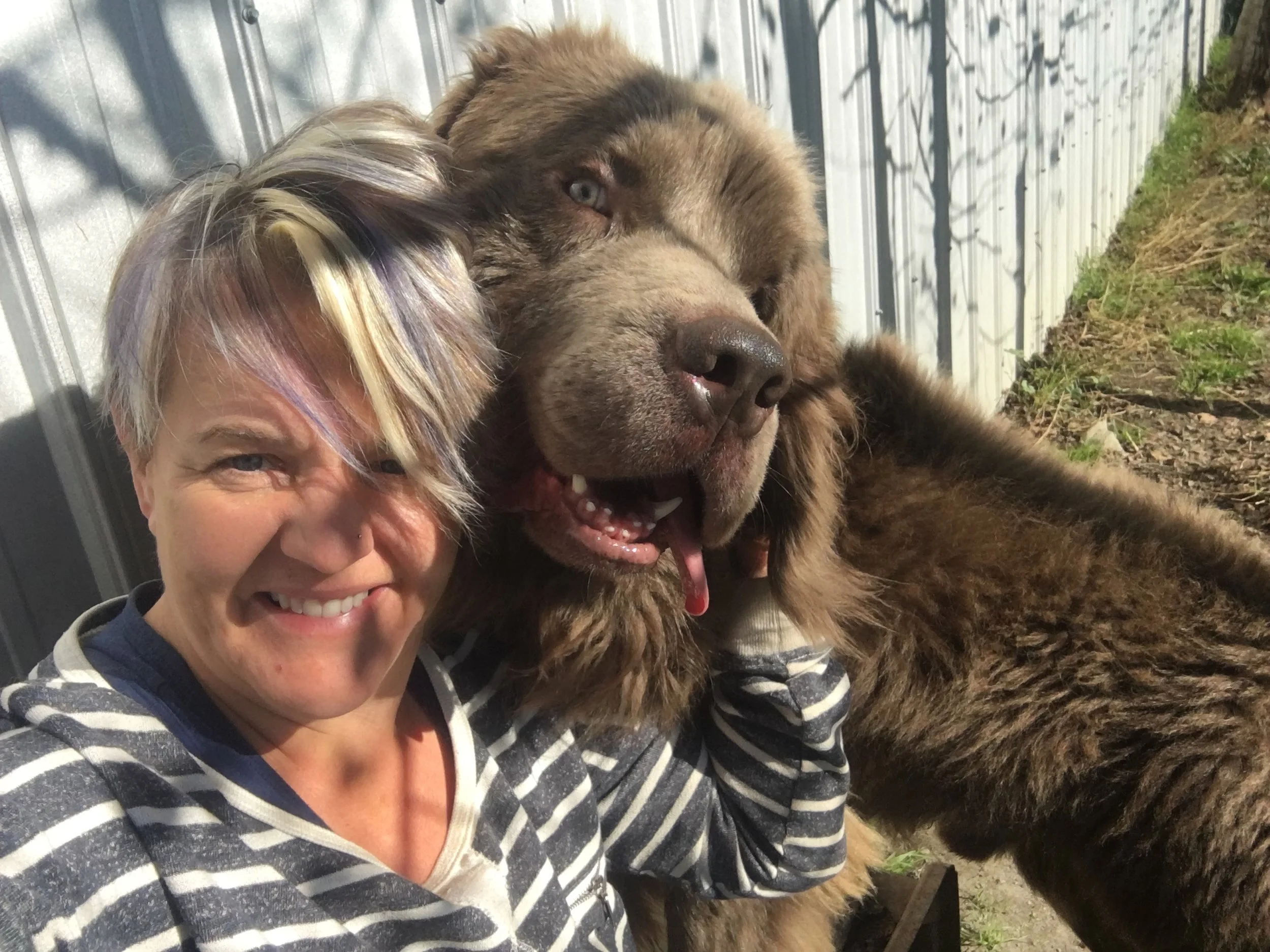 beyond obedience dog training