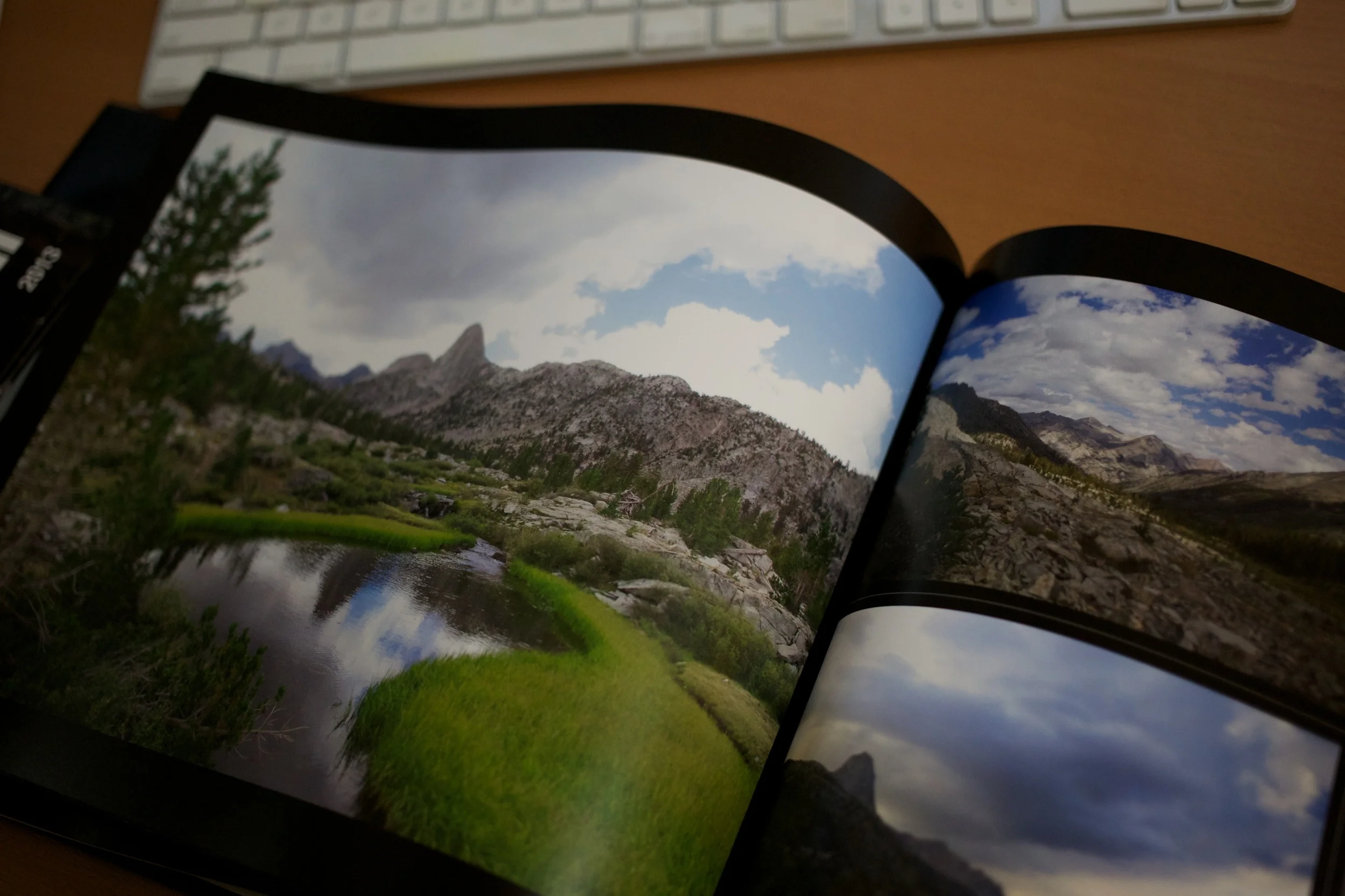 The blue on the left page in the top right corner should be a slightly deeper and more vibrant blue than what is represented on paper. Other parts of the image are represented accurately, such as the green grass and water colors.