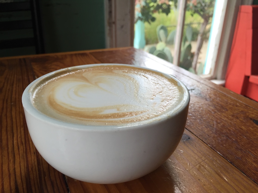 Coffee, and Cacti