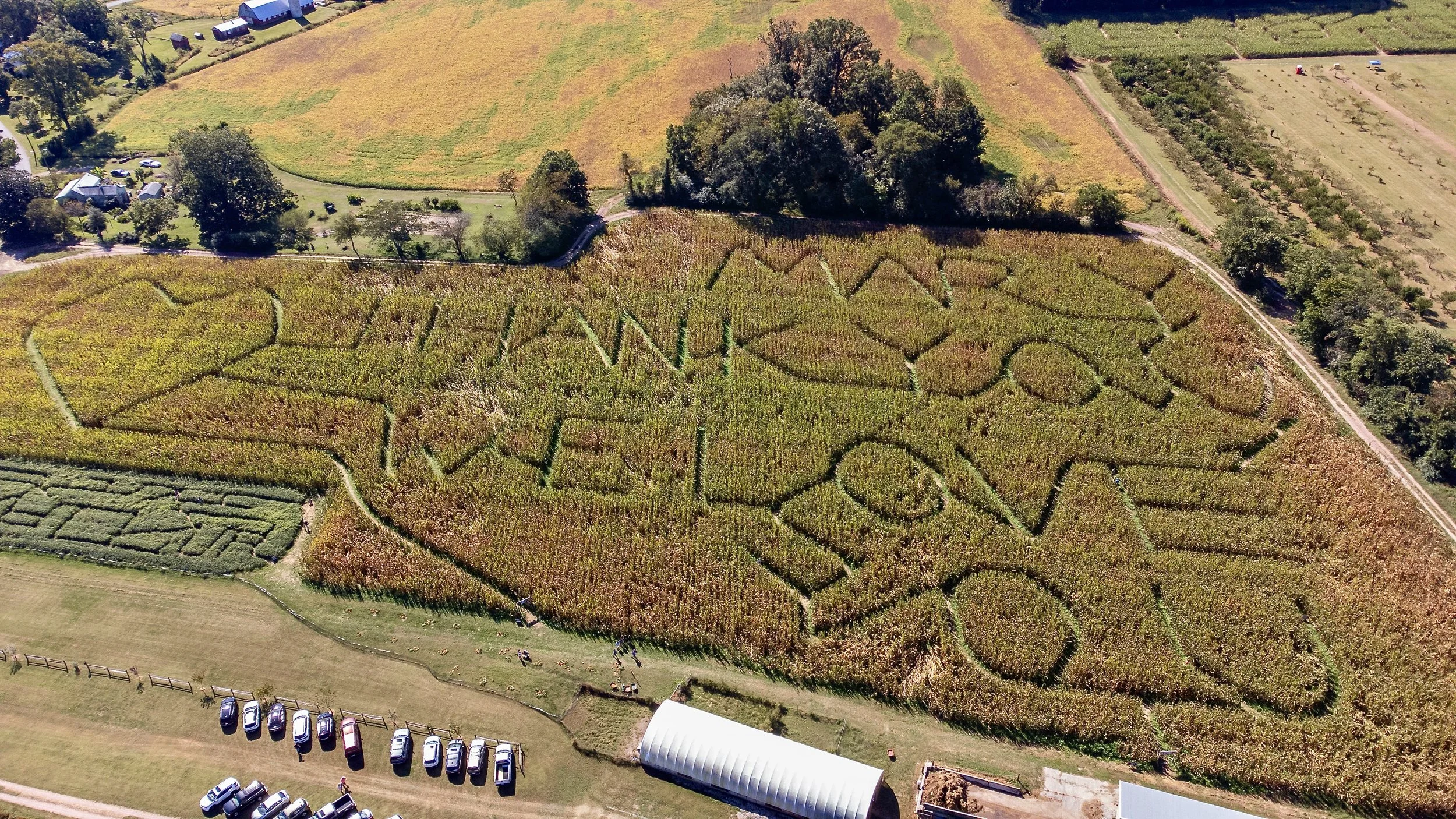 DJI_0871 2.JPG