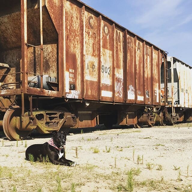 With so much turmoil going on..... Here’s a pic of Brennan and some train cars, that’s it! #brennan #traincars #haveagreatday #fayettevillenc