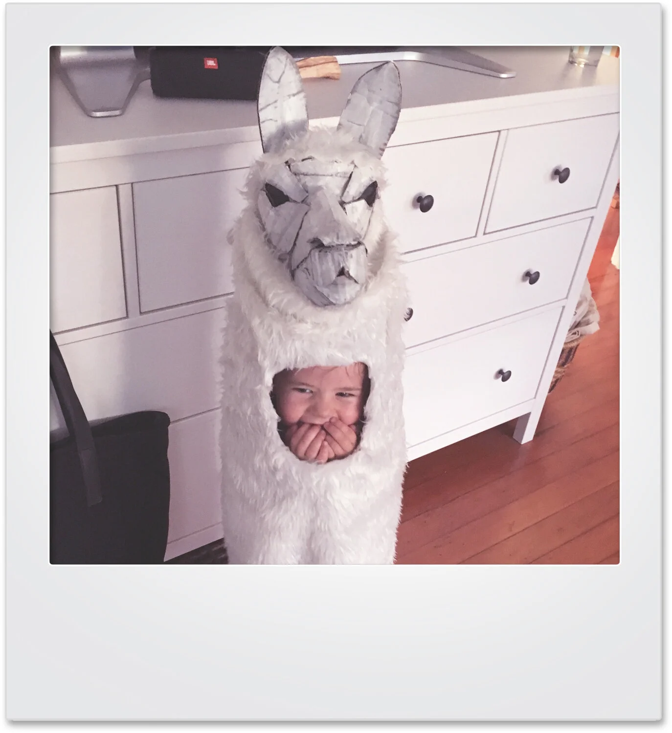 polaroid_llama_mikaylabutchart.jpg