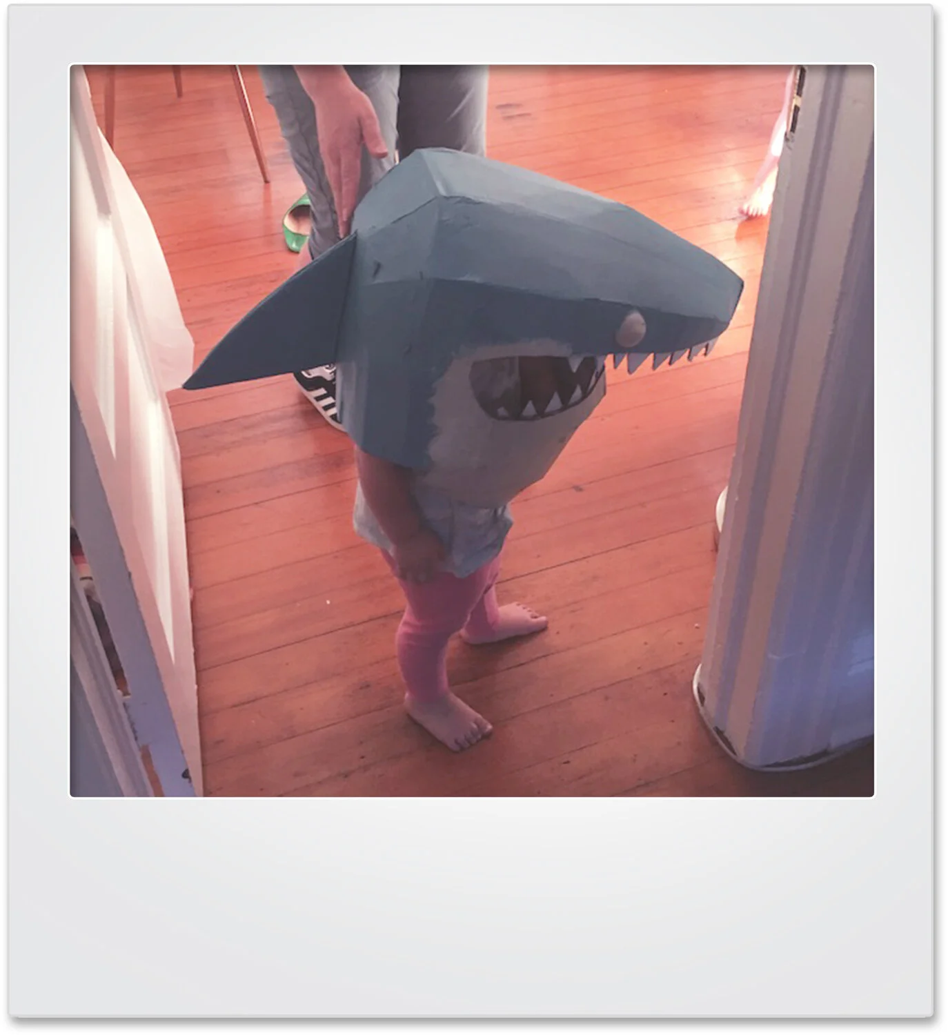 polaroid_shark_mikaylabutchart.jpg