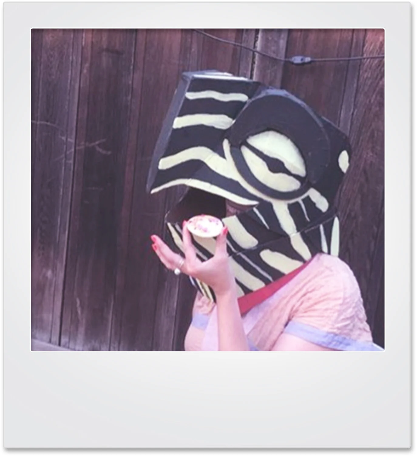 polaroid_turtle_mikaylabutchart.jpg