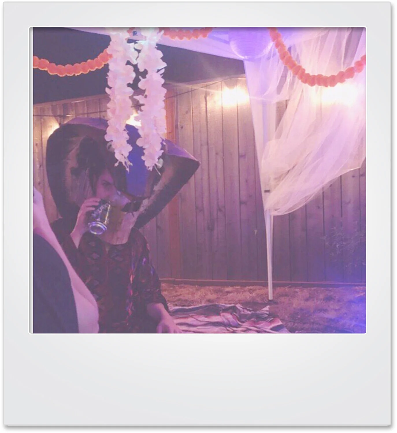polaroid_cobra_mikaylabutchart.jpg