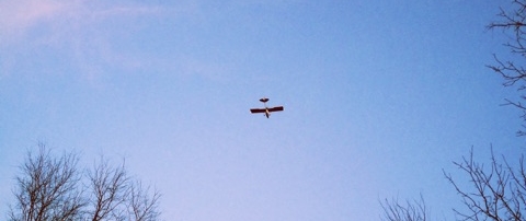A plane buzzes my backyard in PA. I sprint after it, running through muddy horse manure like an insane person. 