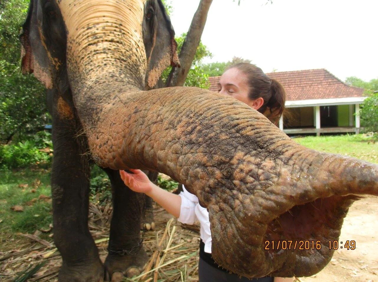 Queenie was more interested in seeing if the camera tasted like bananas than in posing with me.