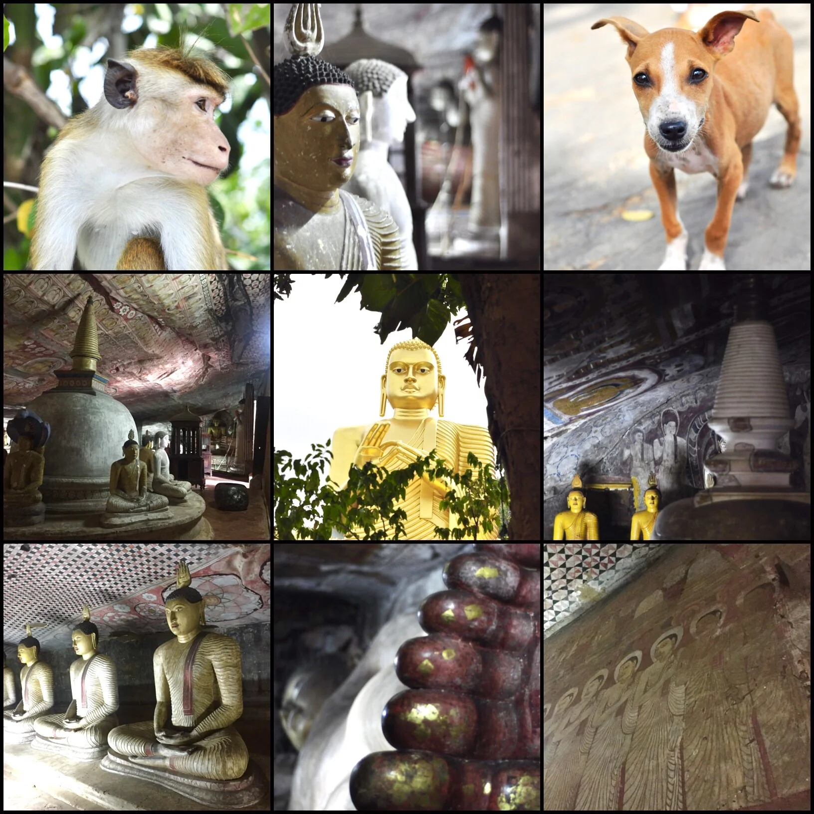 A few shots from Dambulla.