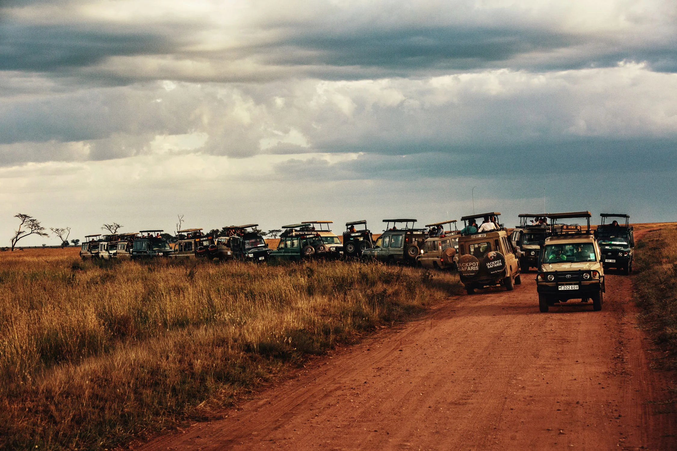 CallieGiovanna_Africa_Tanzania_Serengeti_20150101_07864.jpg