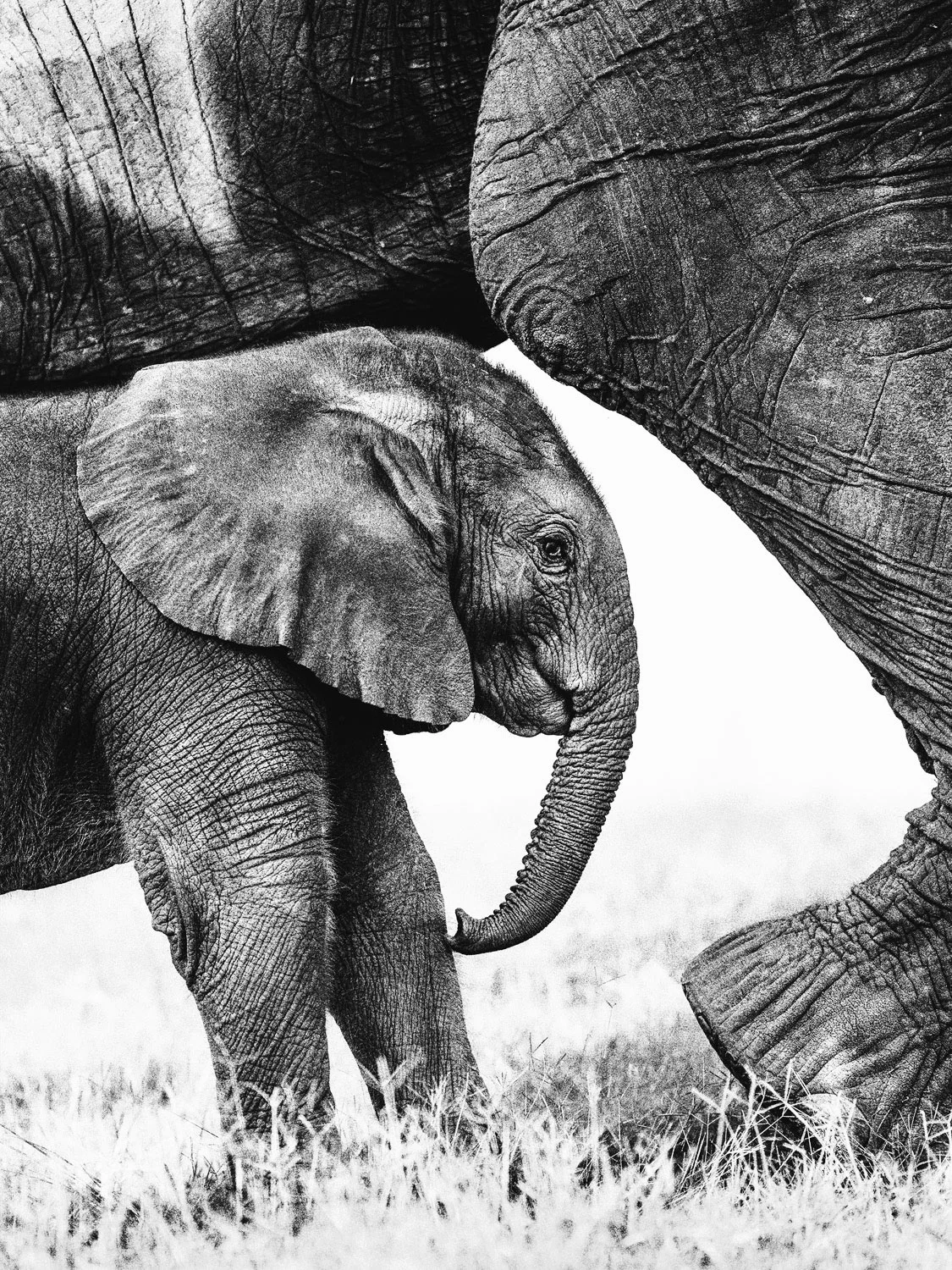 CallieGiovanna_Africa_Botswana_ChobeRiver_20150101_04317.jpg