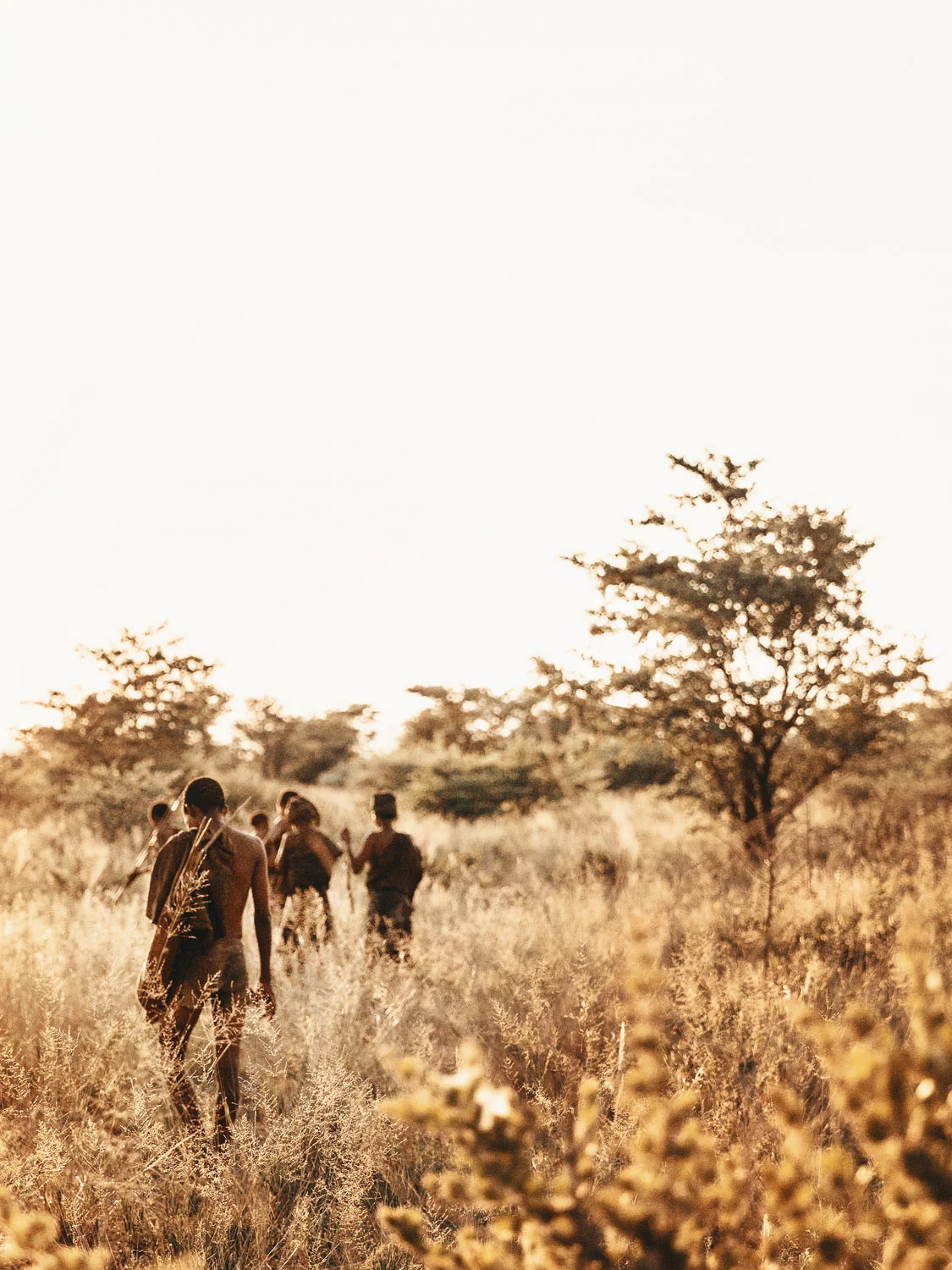 CallieGiovanna_Africa_Botswana_Kalahari_20150101_03160.jpg