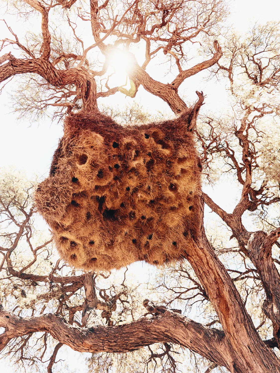 CallieGiovanna_Africa_Namibia_20150101_00318.jpg