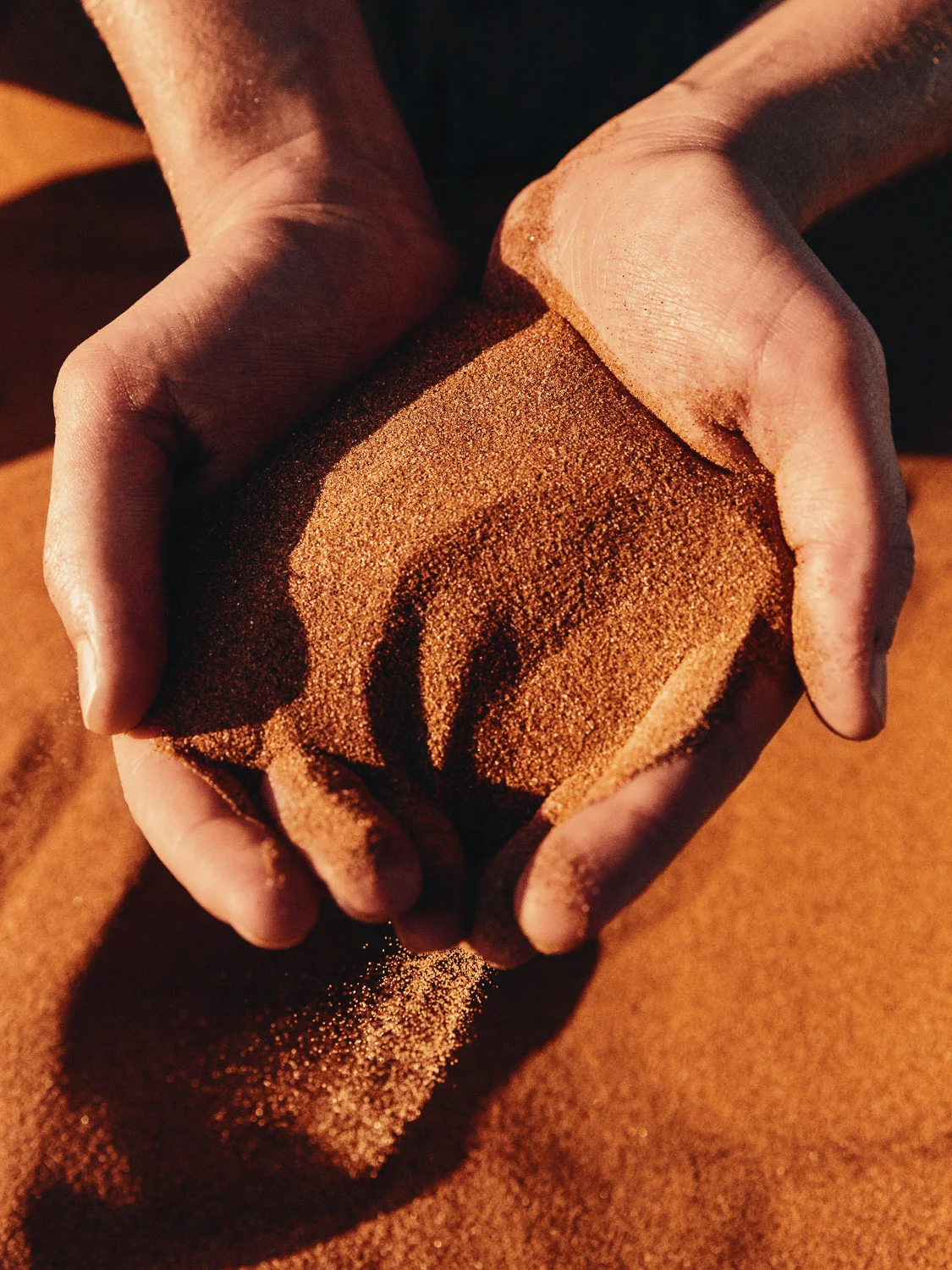 CallieGiovanna_Africa_Namibia_Dune45_20150101_00486.jpg