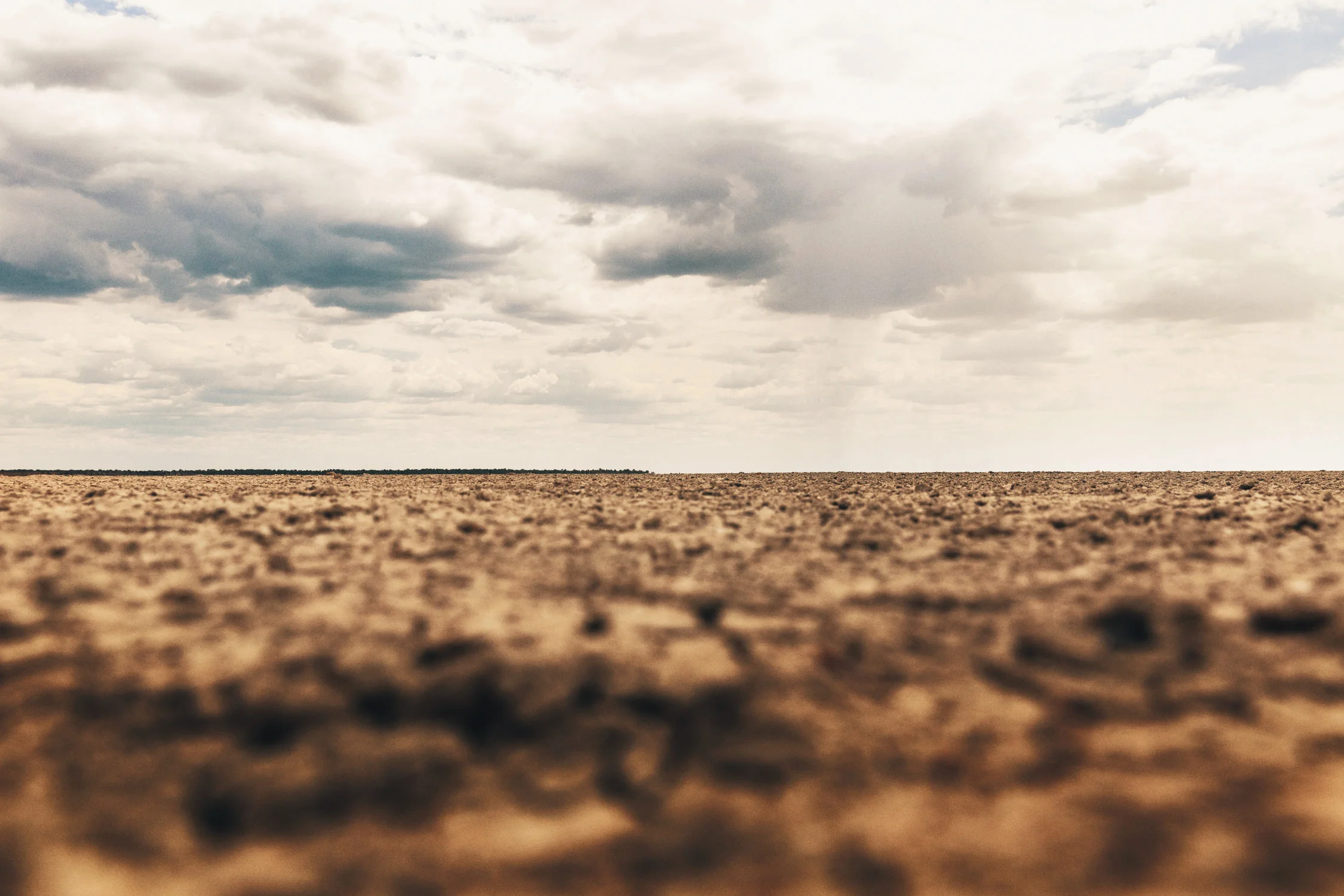CallieGiovanna_Africa_Namibia_EtoshaNationalPark_20150101_02383.jpg