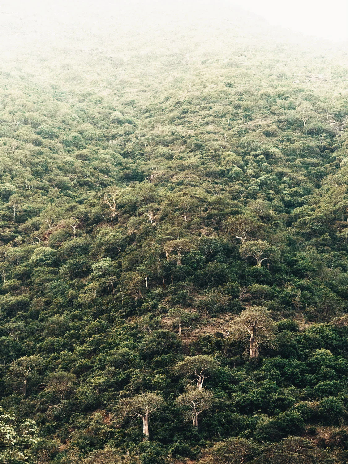 CallieGiovanna_Africa_Tanzania_20150101_06513.jpg