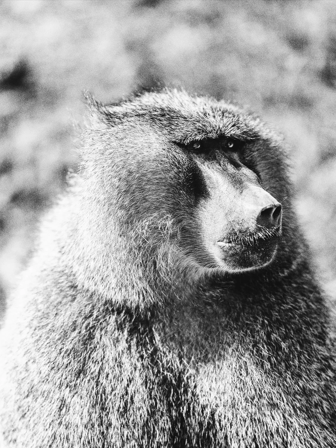 CallieGiovanna_Africa_Tanzania_20150101_07200.jpg