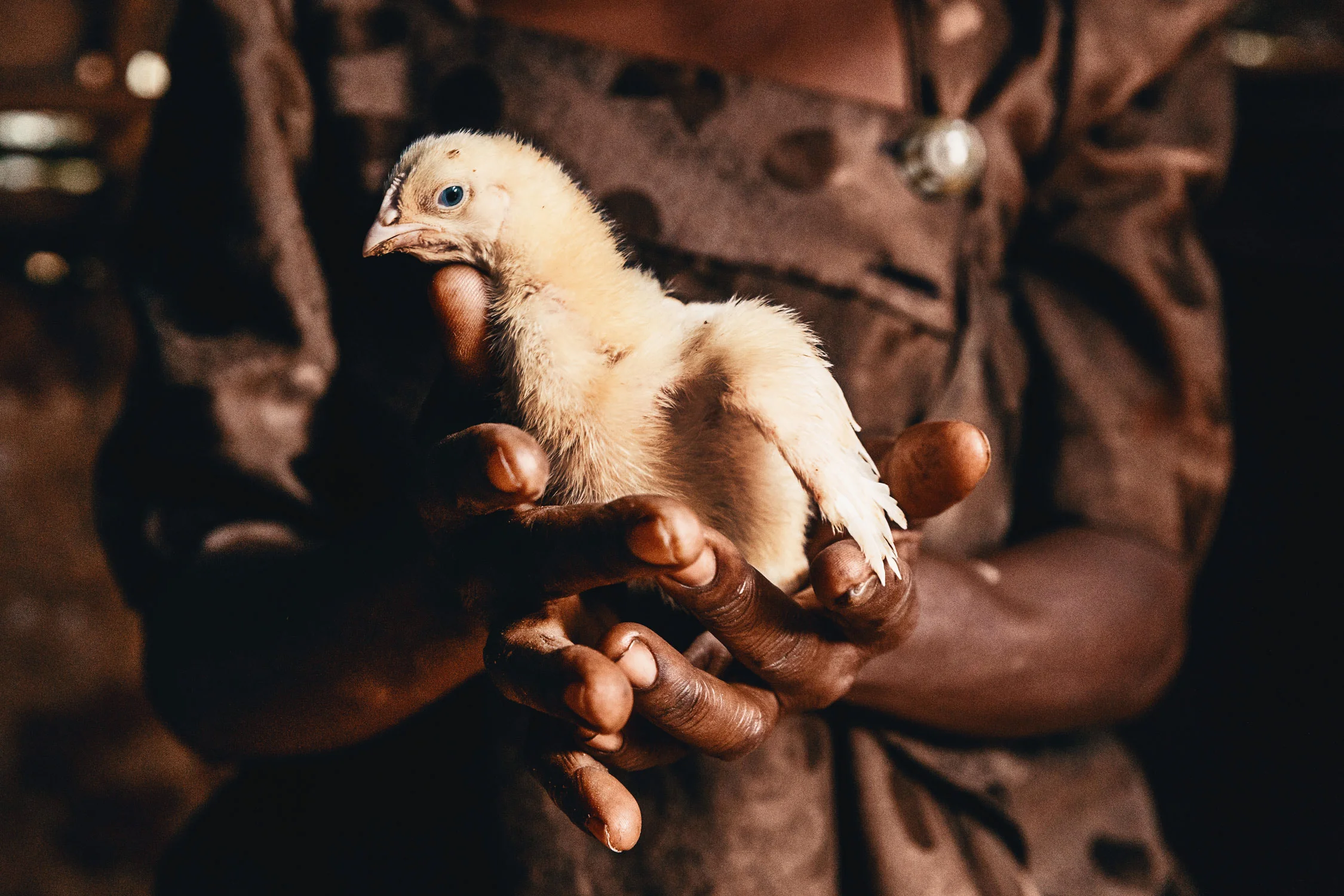 CallieGiovanna_Africa_Uganda_Jinja_20150101_09870.jpg