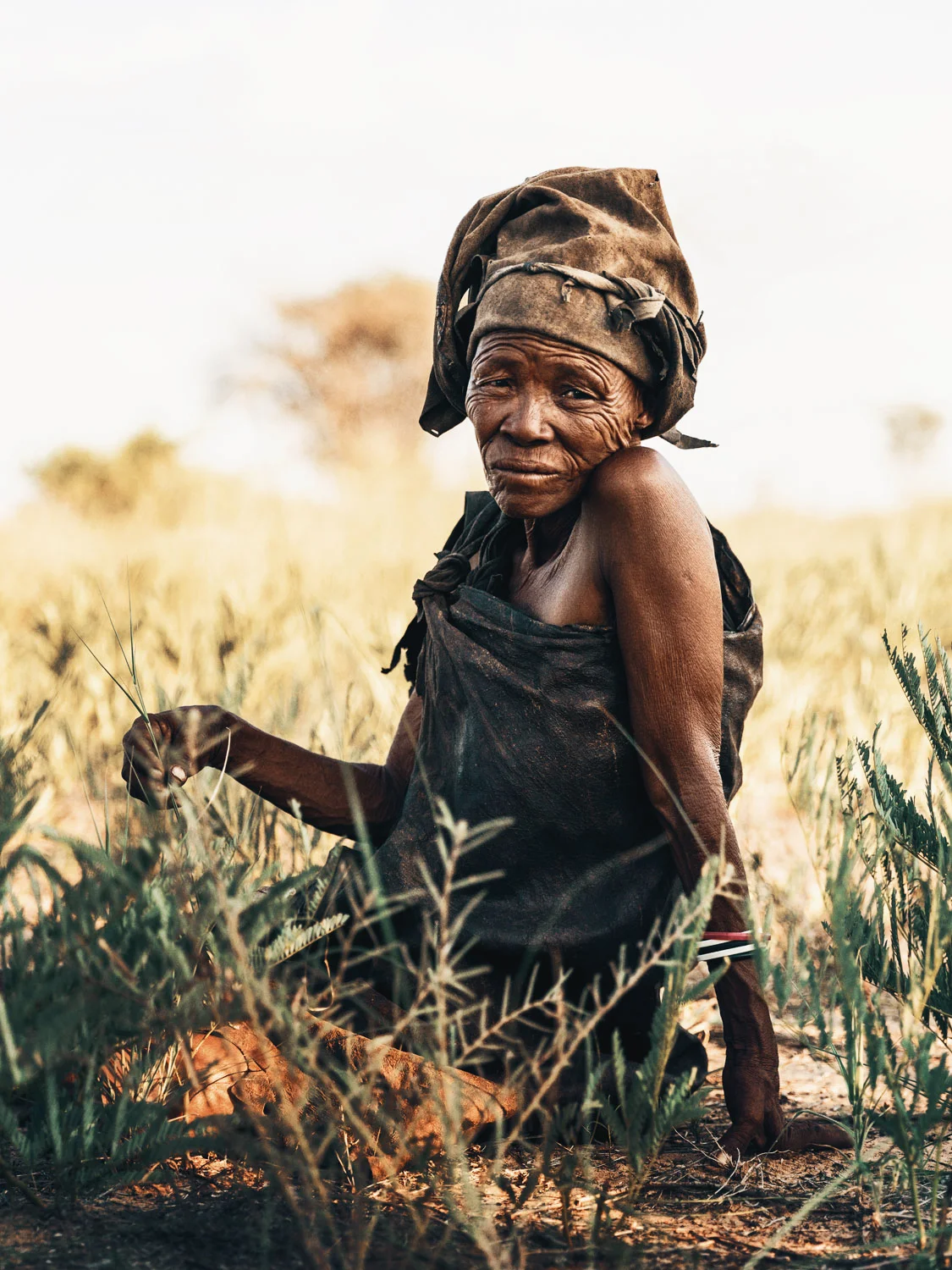 CallieGiovanna_Africa_Botswana_Kalahari_20150101_03057.jpg