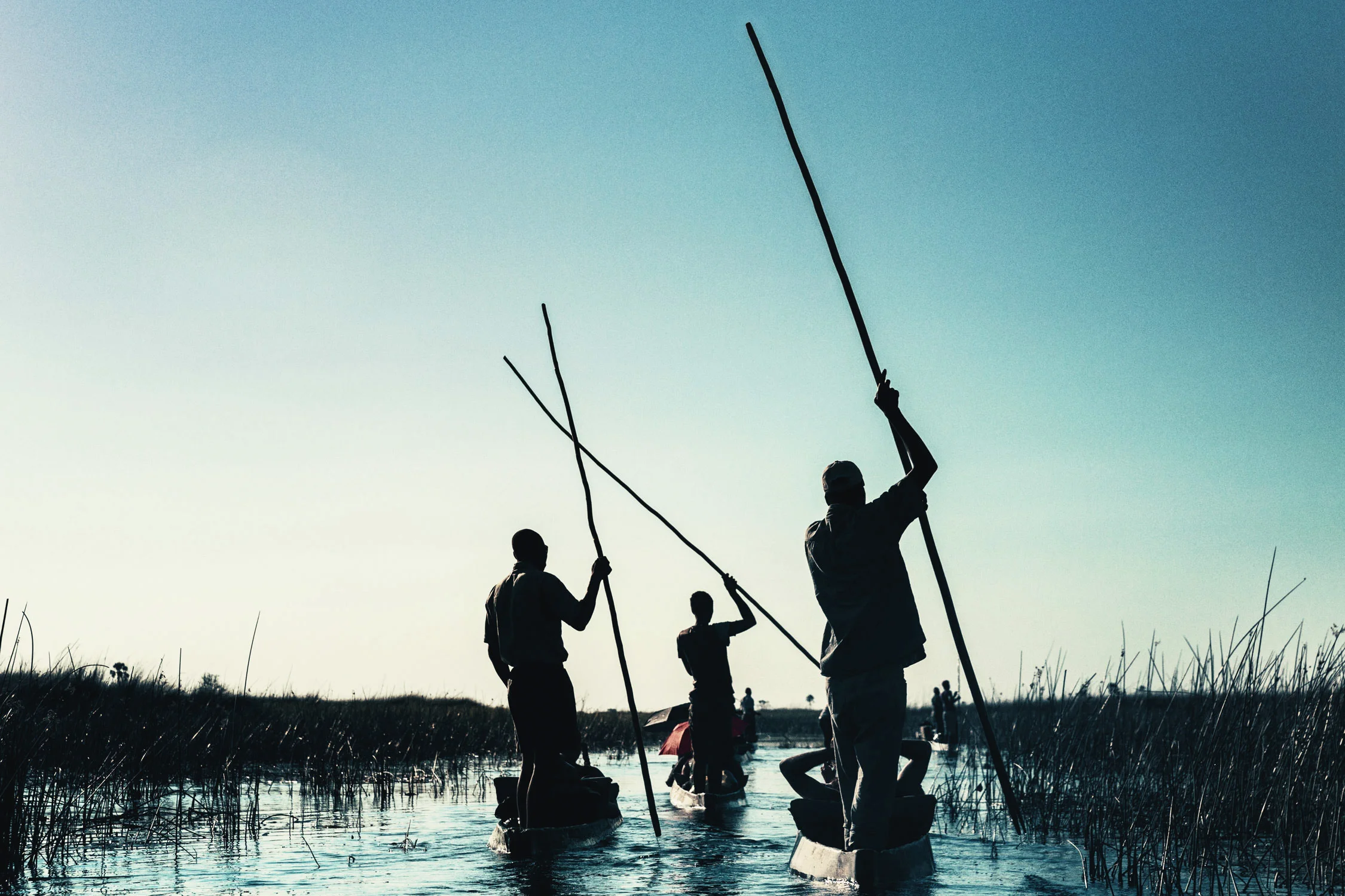 CallieGiovanna_Africa_Botswana_OkavangoDelta_20150101_03928.jpg
