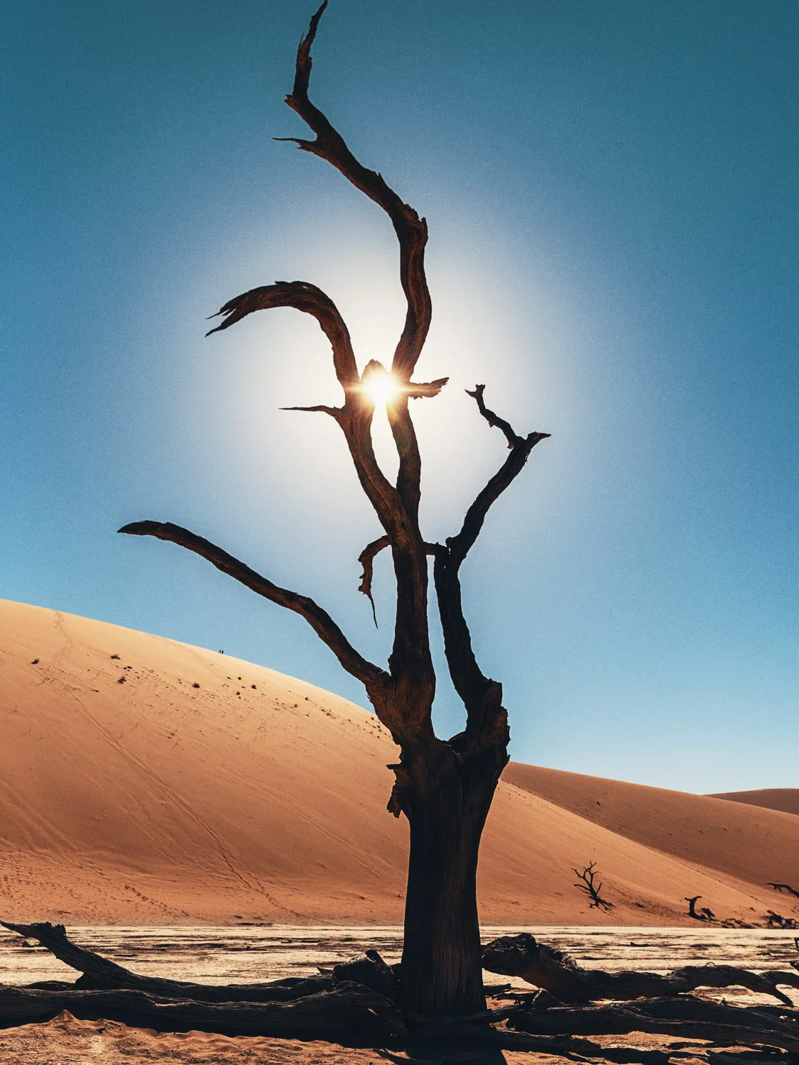 CallieGiovanna_Africa_Namibia_DeadVlei_20150101_00608.jpg