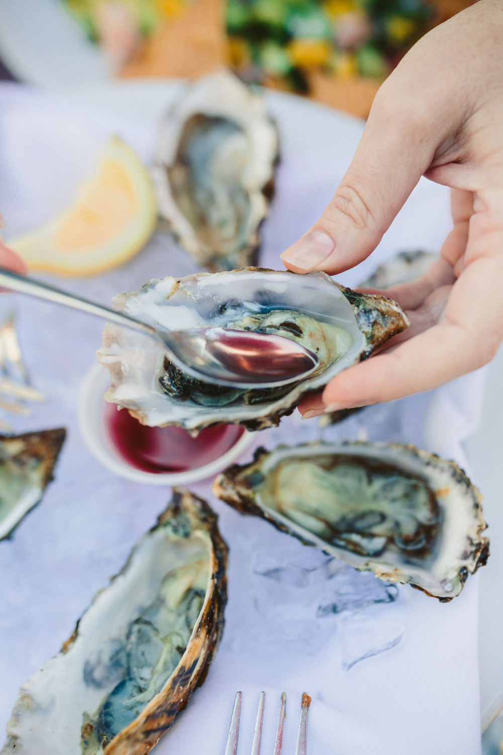  Photography by Vitae Weddings | Mann Family Farm | Bolinas, California | www.vitaeweddings.com 