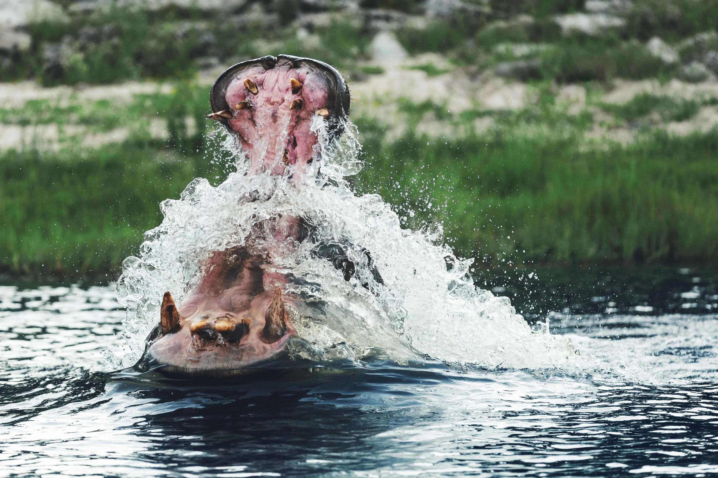 20150101_04395 (1).JPG