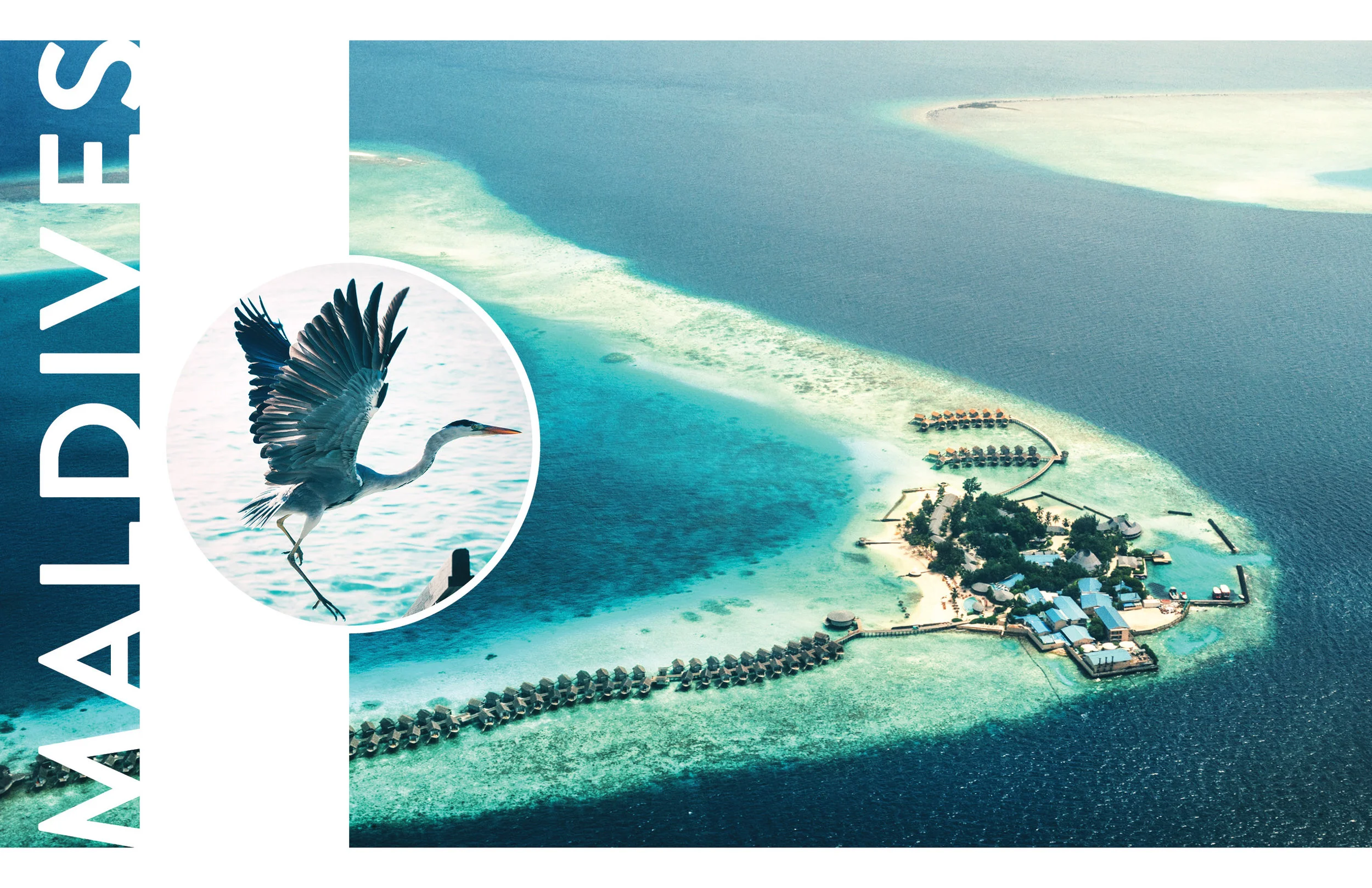 MALDIVES_v22.jpg