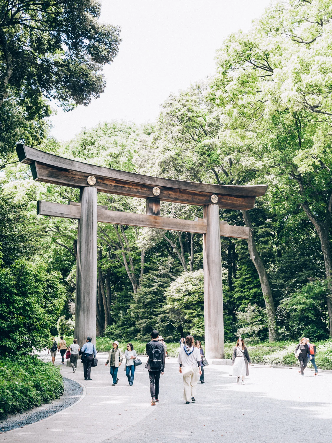 20190514_0013.jpg