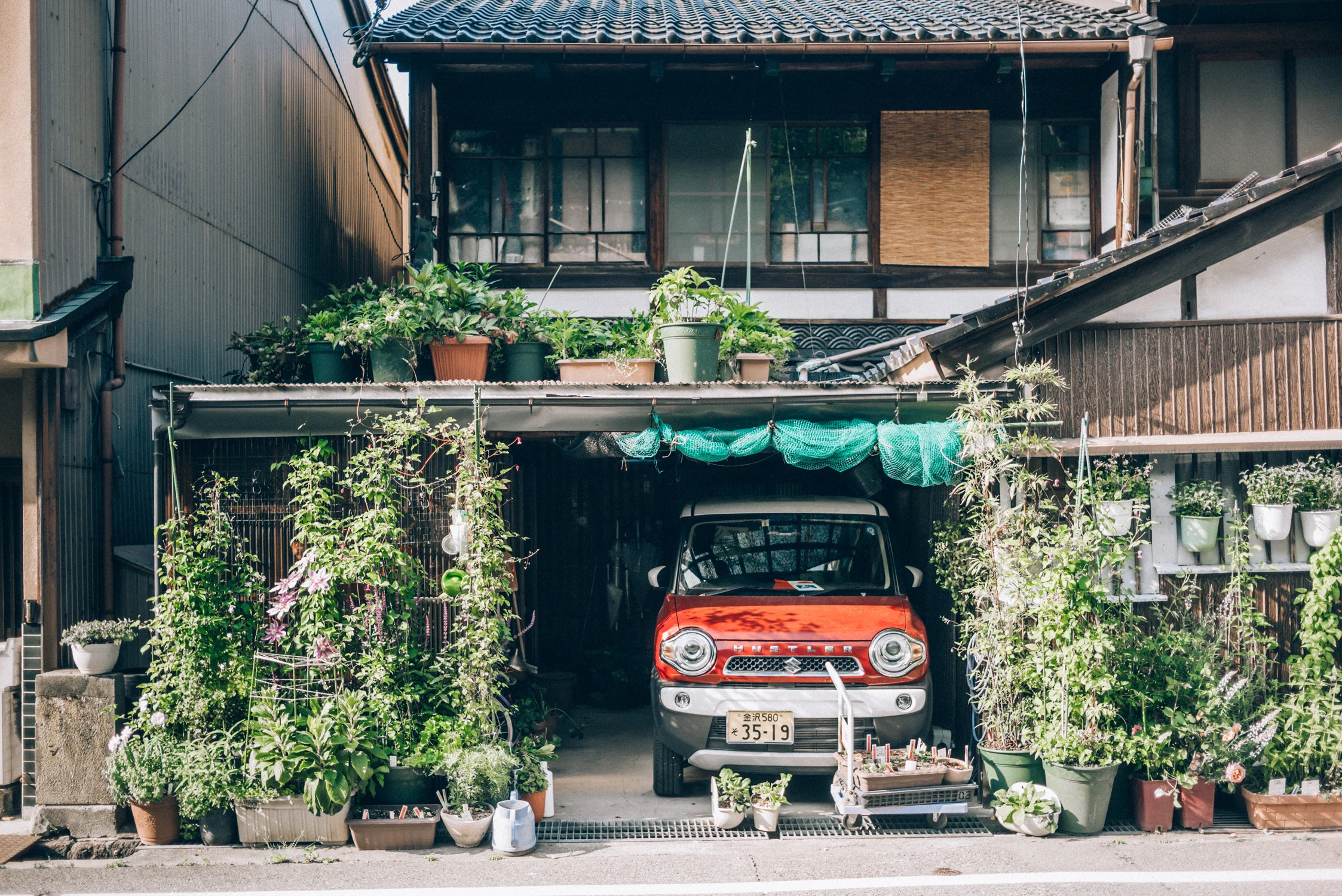 20190514_0490.jpg